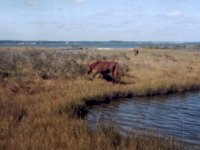 photos 2000-200901357